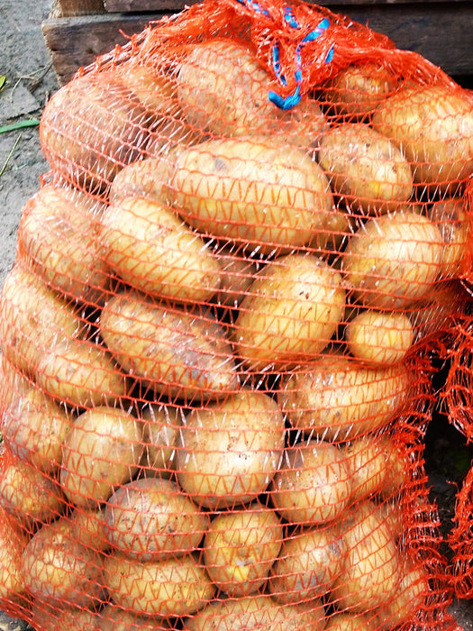 Raschelsäcke, Kartoffelsack, Netzsack,  orange 30 x 50 cm, 100 Stück