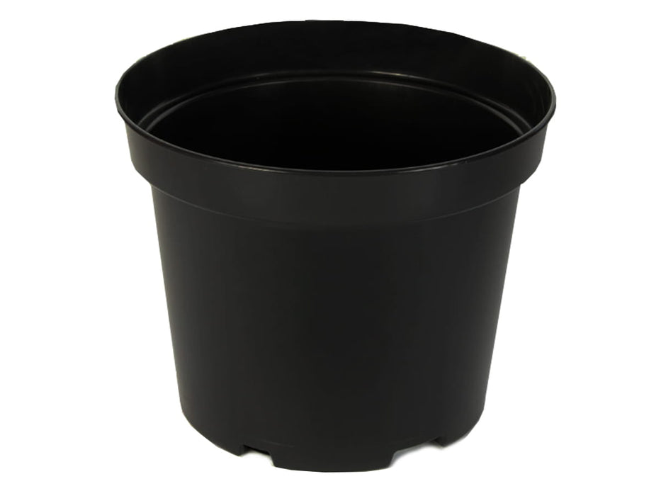 Pot de culture en pot, rond, noir, Ø13cm, 0,96 L, 20-100 pièces 