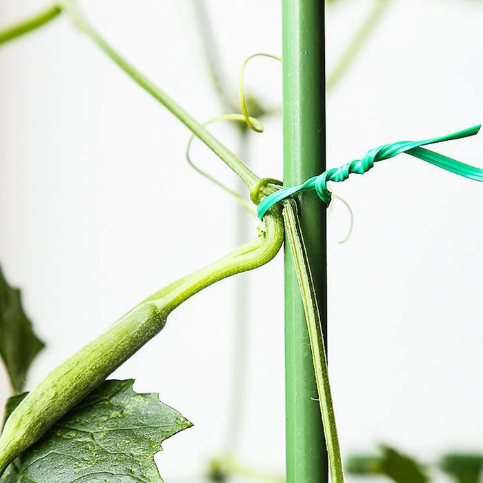 Garden wire, plant wire, with thread cutter, green, 20m