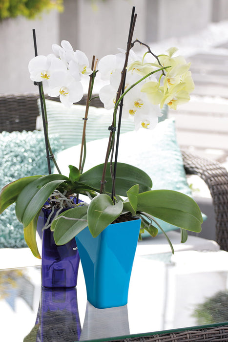 Orchideentopf, Blumentopf, 12 x 20 cm, GardenPot - Blau-Transparent