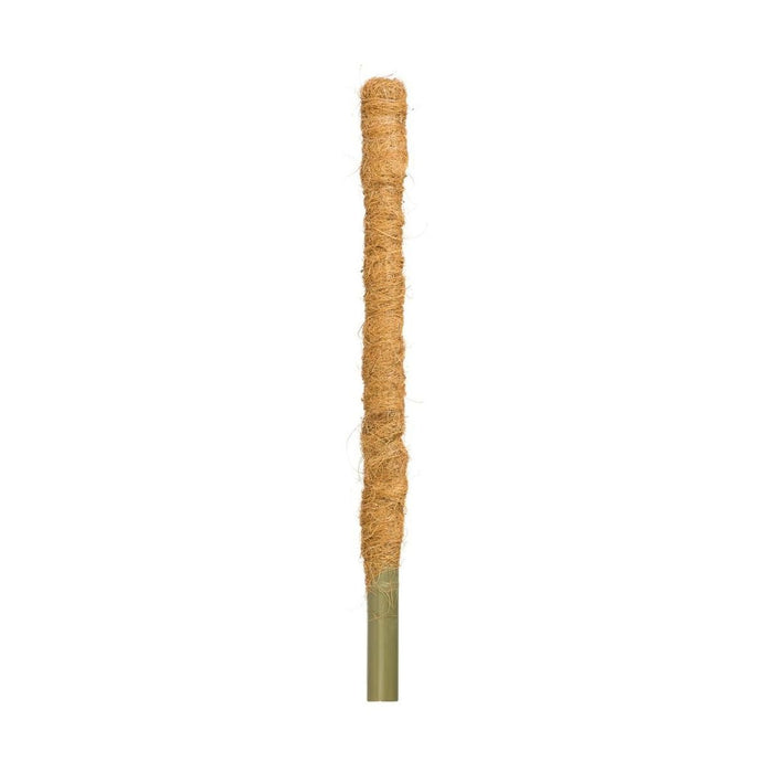 Pflanzstab - Kokos, Blumenstab, Rankhilfe, 60 cm, 32 mm