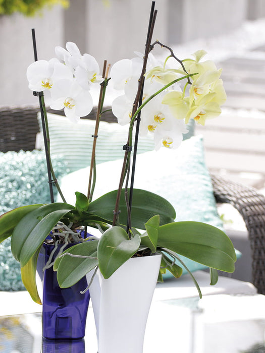 Orchideentopf, Blumentopf, 12 x 20 cm, GardenPot, Lila-transparent